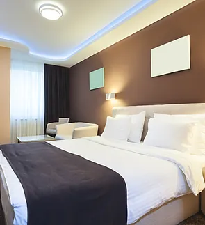 Scisan Significance in Hospitality