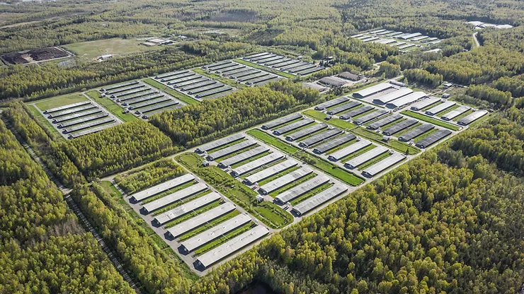 A arial view of huge farm