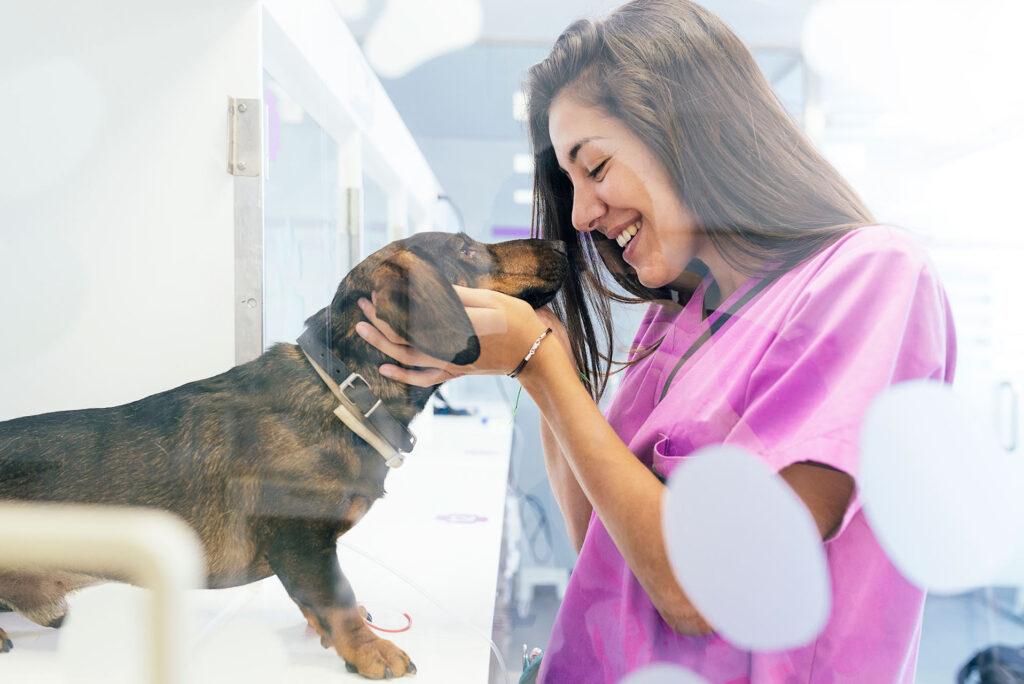 SANI- 99™ for Vets Veterinary Grade Disinfectant