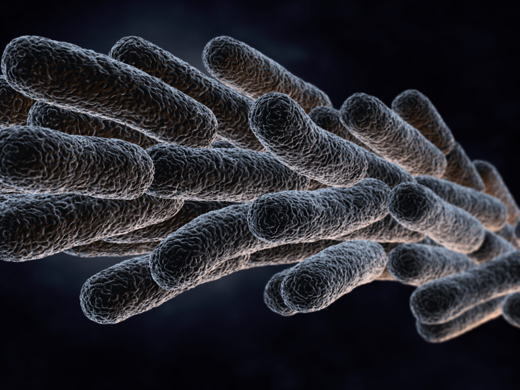 Legionella Pneumophila Bacteria. 3D illustration