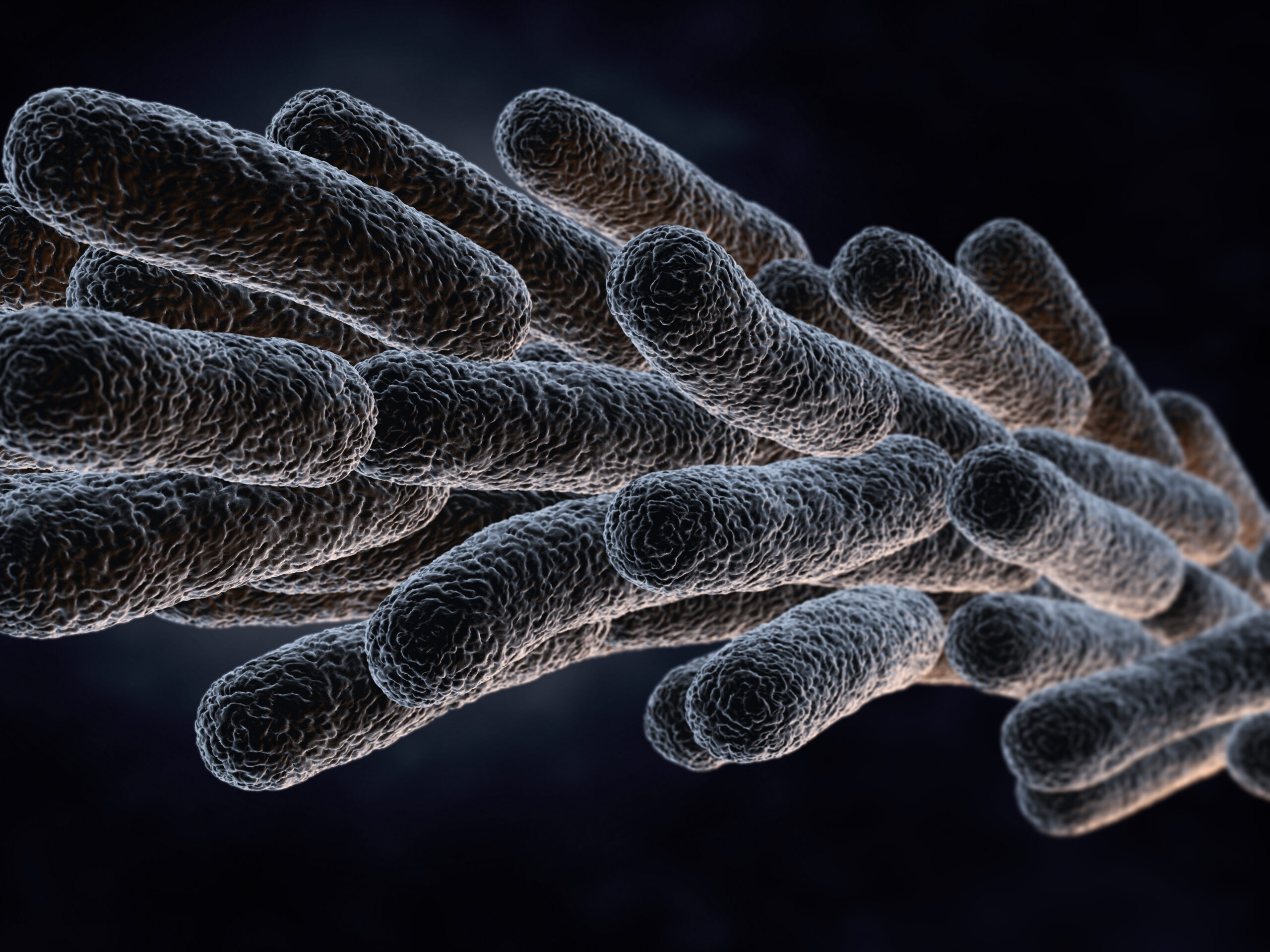 Legionella Pneumophila Bacteria. 3D illustration