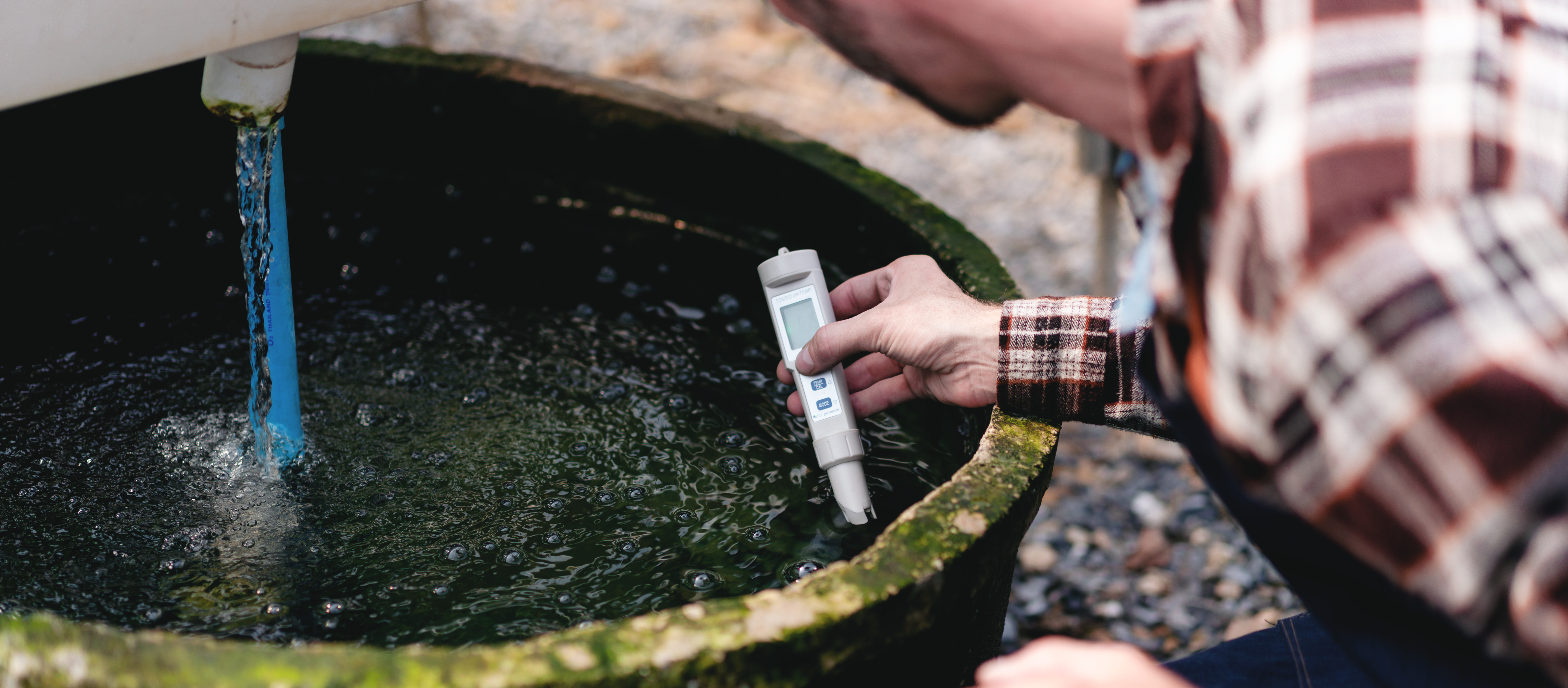 Agribusiness farmer and hydroponic farming concept, Man using pH meter to testing and control water system of hydroponics farm for salad vegetables plantation in greenhouse.